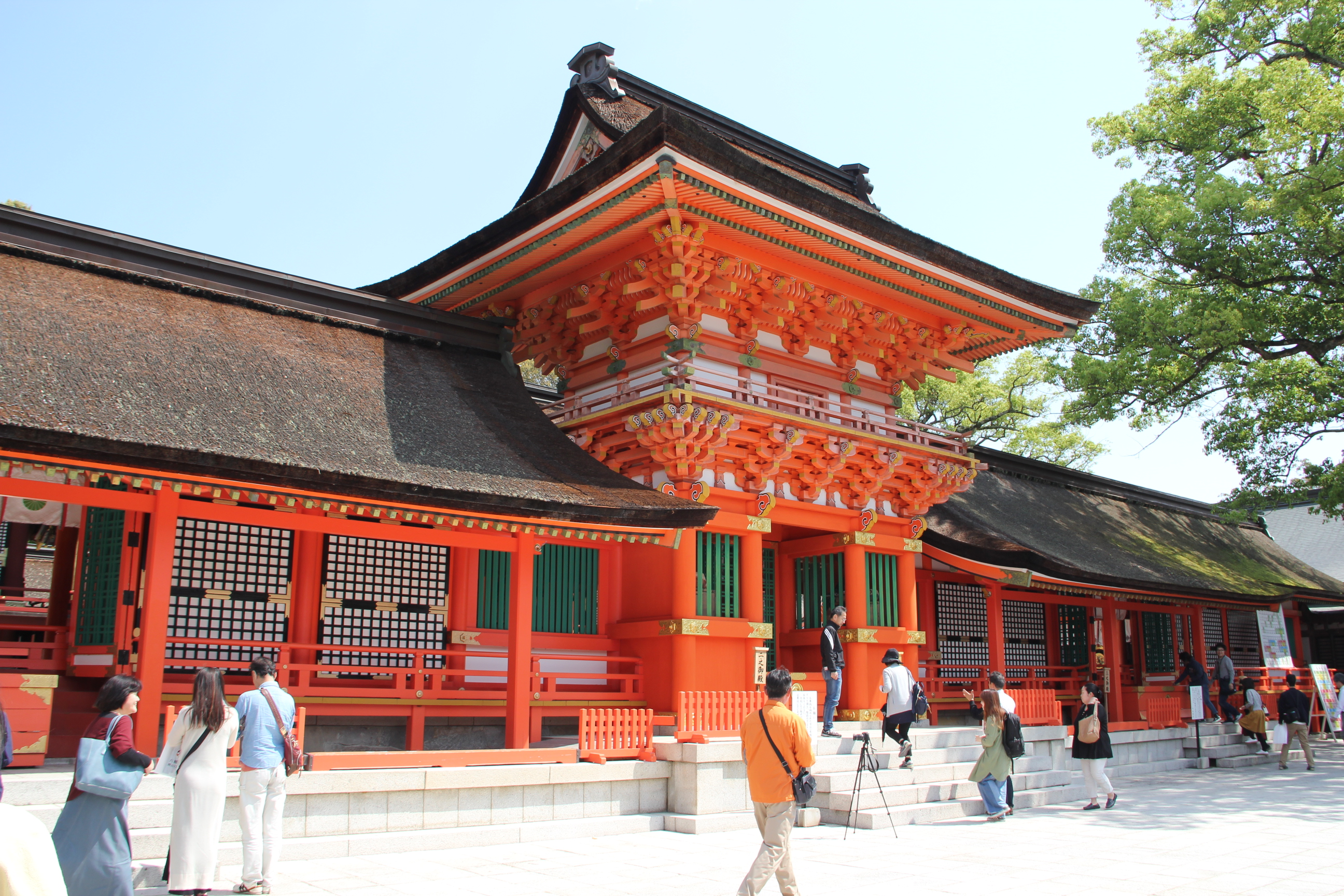 パワースポット巡るなら九州で恋愛運ｕｐと人気の神社に行こう Pocha Maru の ほんわか生活